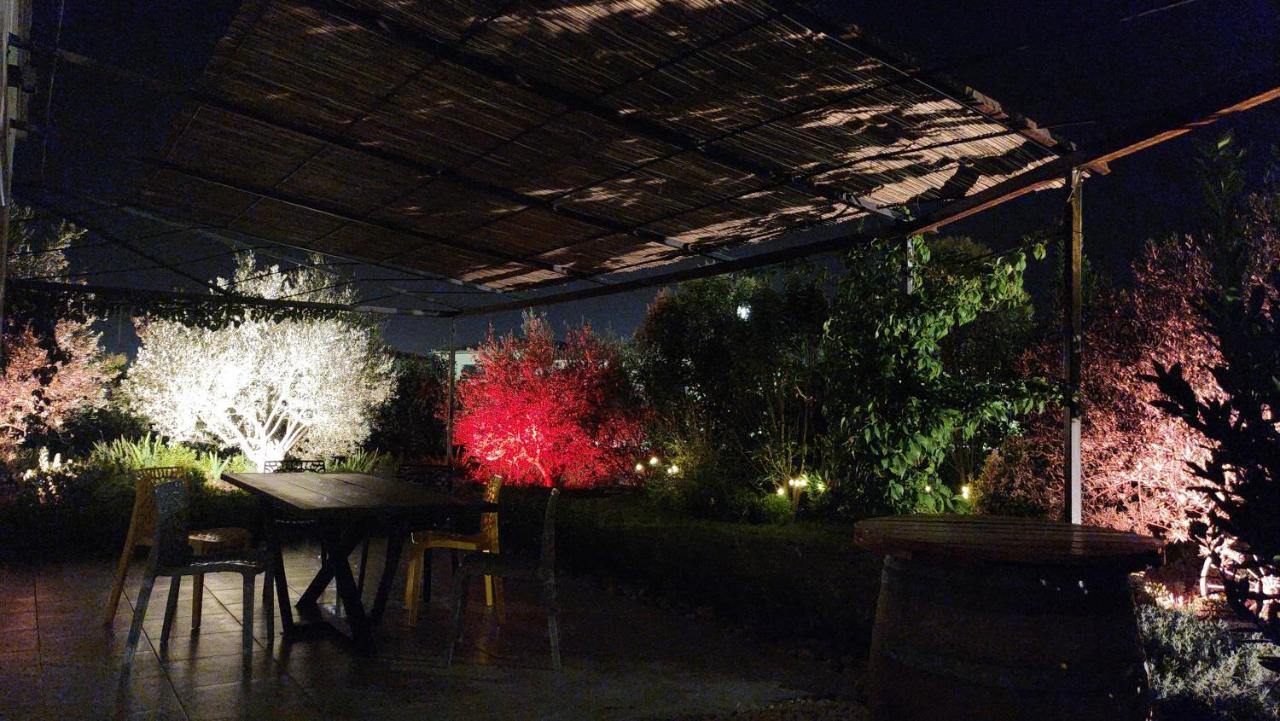 A 2 Pas Des Vignes, Hebergements Et Spa, Maison Numero 6, A Chateauneuf Du Pape Екстериор снимка